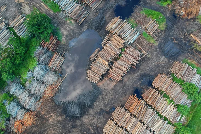 Como o desmatamento pode afetar o clima e por que o agro deve ficar atento?