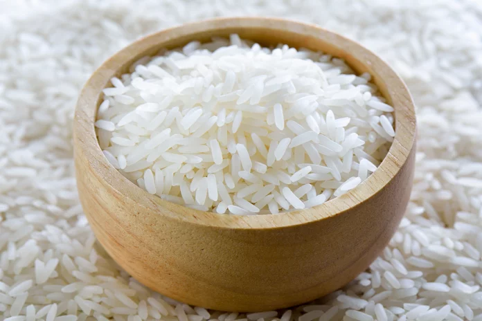 Cientistas sul-coreanos desenvolvem ‘arroz bovino’ em laboratório