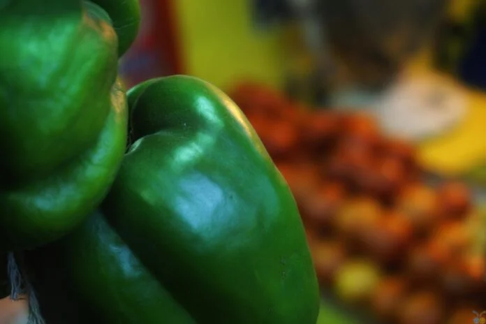 Resiliência: ingrediente indispensável à indústria de alimentos