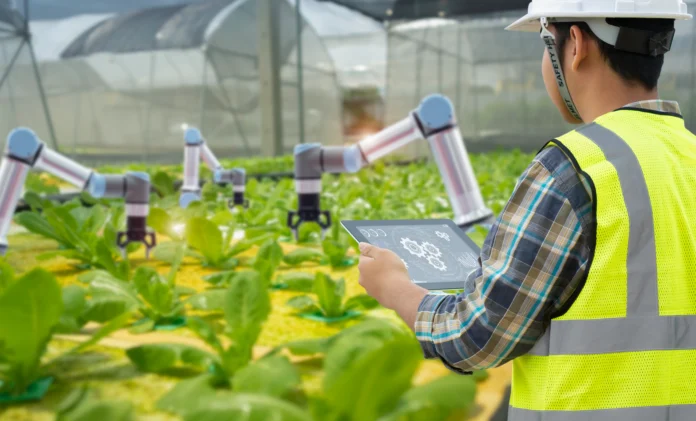 Niterra do Brasil e PwC Agtech Innovation lançam desafio de IA generativa para impulsionar a agricultura