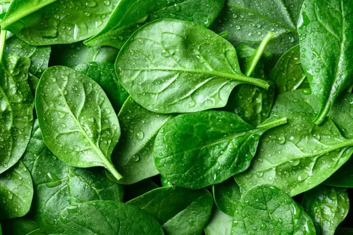 Vegetais de folhas verdes ricos em vitamina K1 associados à preservação da função pulmonar