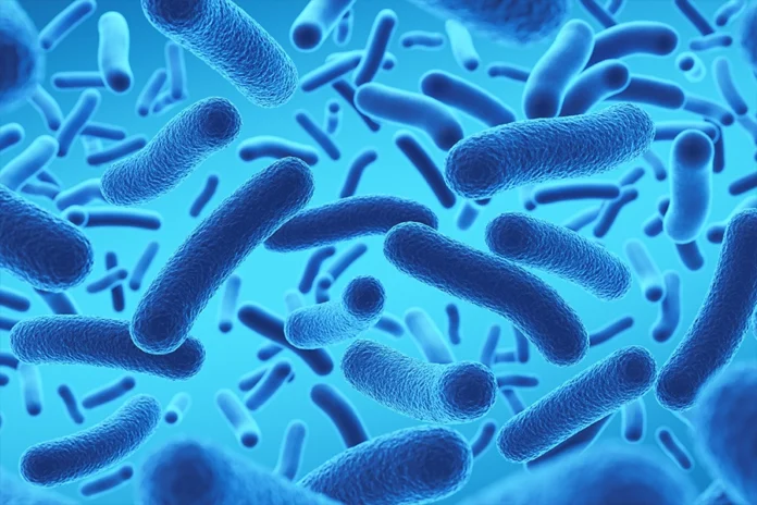 Representação digital do microbioma humano analisado por inteligência artificial para desenvolver novos probióticos