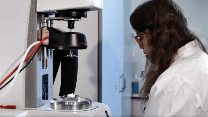 Microgéis de proteína desenvolvidos pela MicroLub para reduzir gordura em alimentos